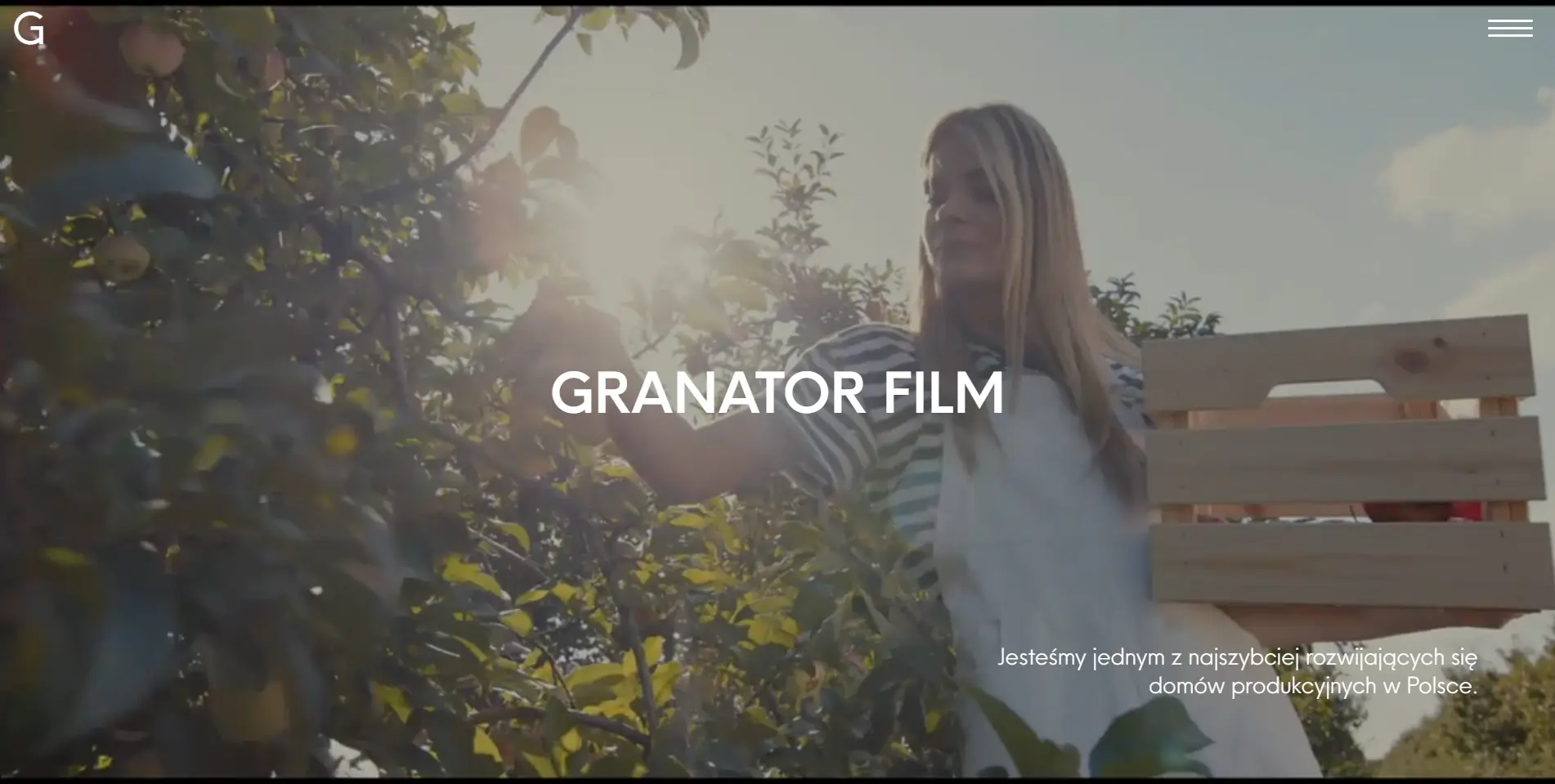 Strona internetowa granator